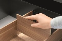 ZC7Q0P0FH AMBIA-LINE Querteiler für Frontauszug LEGRABOX/MERIVOBOX, Holzdesign, für Rahmenbreite 218 mm