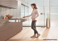 578.3501M TANDEMBOX TIP-ON Blumotion Korpusschiene Vollauszug, 30 kg, NL= 350mm, li/re